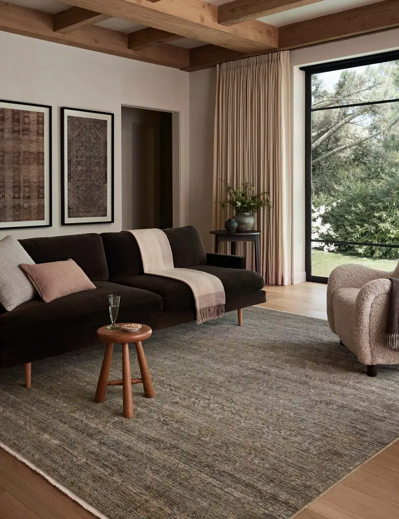 Molly Iii Area Rug – Amber Lewis X Loloi Collection 1