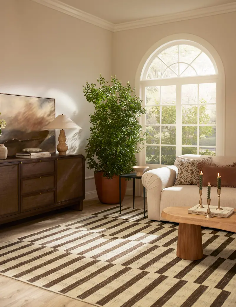 Tieran Handwoven Wool-Blend Area Rug – Textured Natural-Fiber Floor Covering 1